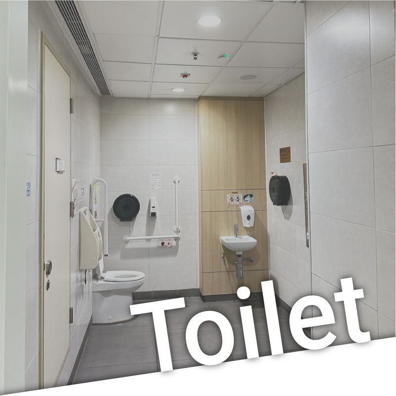 apply-to-toilet